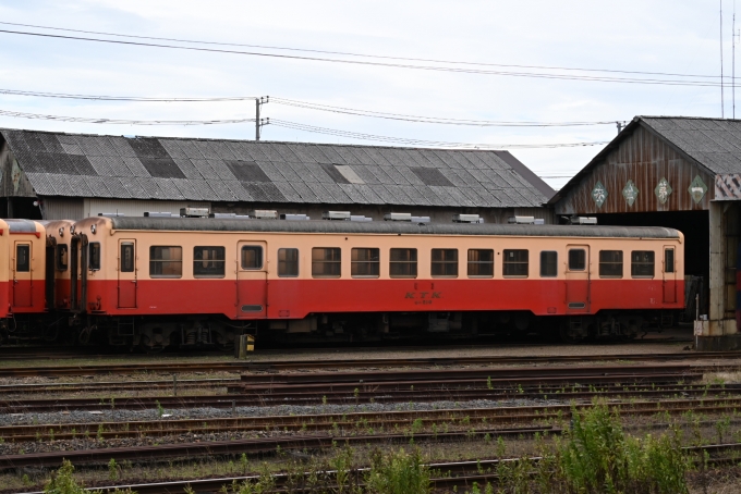 鉄道フォト・写真：小湊鐵道キハ200形気動車 キハ210 五井駅 (JR) 鉄道フォト・写真 by 無二似さん - 撮影日 2024/06/30 14:32