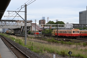 小湊鐵道キハ200形 キハ206 鉄道フォト・写真 by 無二似さん 五井駅 (JR)：2024年06月30日14時ごろ