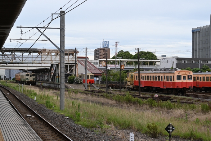 鉄道フォト・写真：小湊鐵道キハ200形気動車 キハ206 五井駅 (JR) 鉄道フォト・写真 by 無二似さん - 撮影日 2024/06/30 14:38