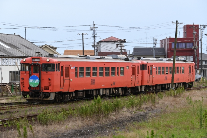 鉄道フォト・写真：小湊鐵道キハ40系気動車  天北 キハ40 3 五井駅 (JR) 鉄道フォト・写真 by 無二似さん - 撮影日 2024/06/30 15:42