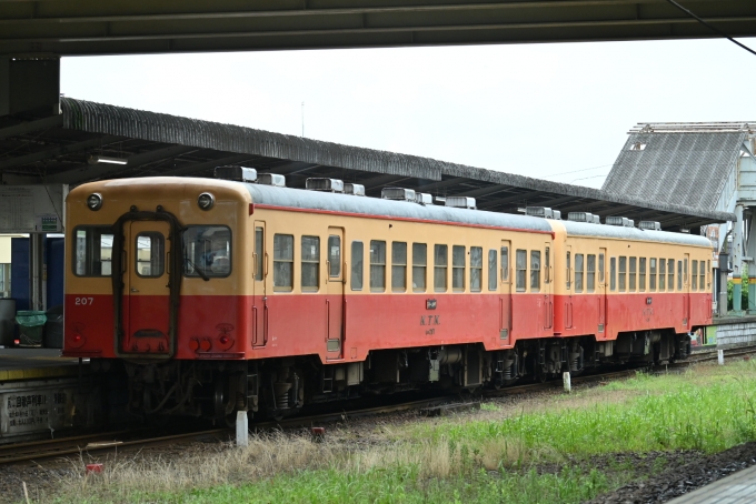 鉄道フォト・写真：小湊鐵道キハ200形気動車 キハ207 五井駅 (JR) 鉄道フォト・写真 by 無二似さん - 撮影日 2024/07/14 08:55