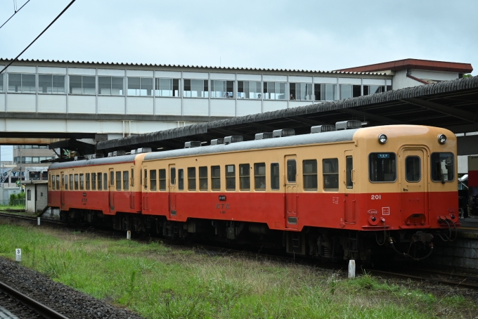 鉄道フォト・写真：小湊鐵道キハ200形気動車 キハ201 五井駅 (JR) 鉄道フォト・写真 by 無二似さん - 撮影日 2024/07/14 08:57