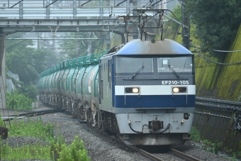 JR貨物 EF210形 EF210-105 鉄道フォト・写真 by 無二似さん 東所沢駅：2024年07月15日11時ごろ
