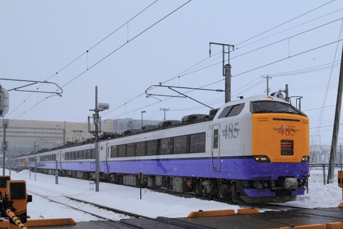 JR東日本 国鉄485系電車 白鳥 485系3000番台 新青森駅 鉄道フォト