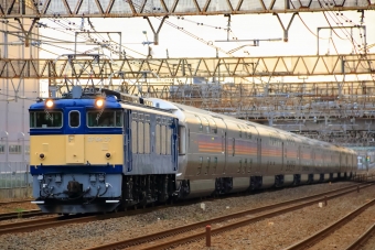JR東日本 EF64-37 EF64-37 鉄道フォト・写真 by レンタくんさん 馬橋駅 (JR)：2019年05月06日05時ごろ