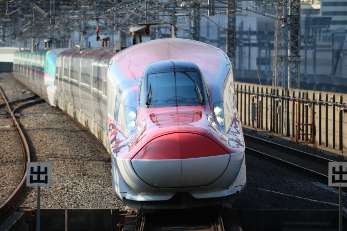 JR東日本E6系新幹線 こまち(新幹線) 鉄道フォト・写真 by msrwさん 大宮駅 (埼玉県|JR)：2016年06月11日06時ごろ