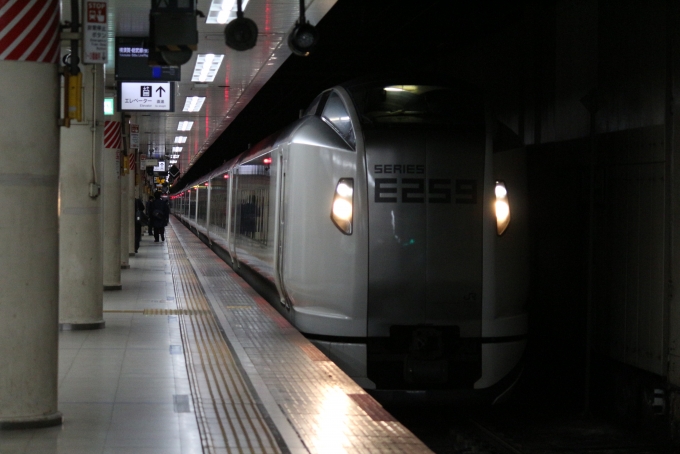 JR東日本E259系電車 成田エクスプレス(特急) 鉄道フォト・写真 by Okhotsk_283さん 東京駅 (JR)：2024年04月03日13時ごろ