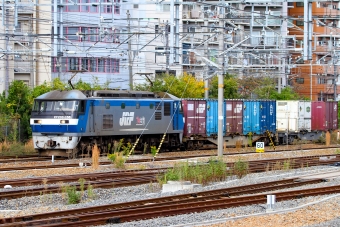 JR貨物 EF210形 EF210-155 鉄道フォト・写真 by BBsanさん 新大阪駅 (JR)：2021年11月03日13時ごろ