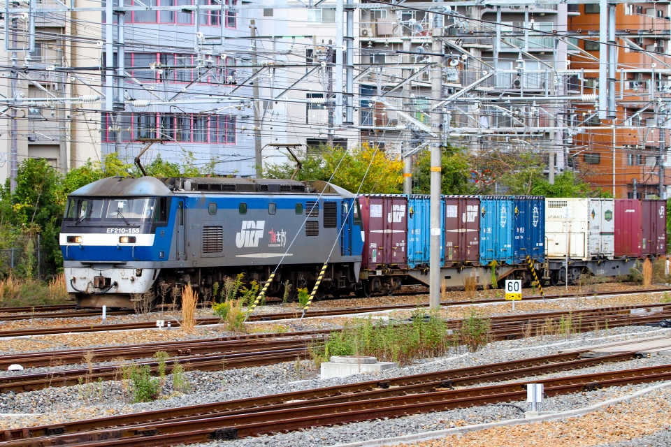 鉄道フォト・写真(拡大)：JR貨物EF210形電気機関車 EF210-155 新大阪駅 (JR) 鉄道フォト・写真 by BBsanさん - 撮影日 2021/11/03 13:50
