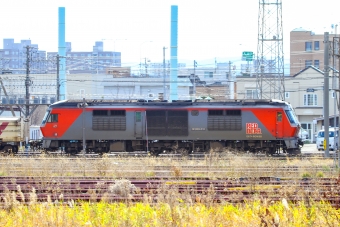 JR貨物 DF200形 DF200-111 鉄道フォト・写真 by BBsanさん 平和駅：2021年11月12日11時ごろ