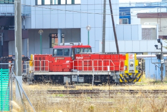 JR貨物 HD300形 HD300-503 鉄道フォト・写真 by BBsanさん 平和駅：2021年11月12日11時ごろ