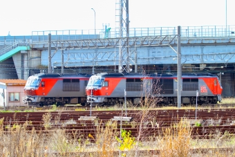 JR貨物 DF200形 DF200-114 鉄道フォト・写真 by BBsanさん 平和駅：2021年11月12日11時ごろ