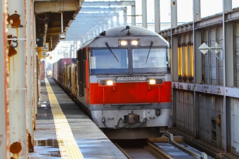 JR貨物 DF200形 DF200-55 鉄道フォト・写真 by BBsanさん 千歳駅 (北海道)：2021年11月11日11時ごろ