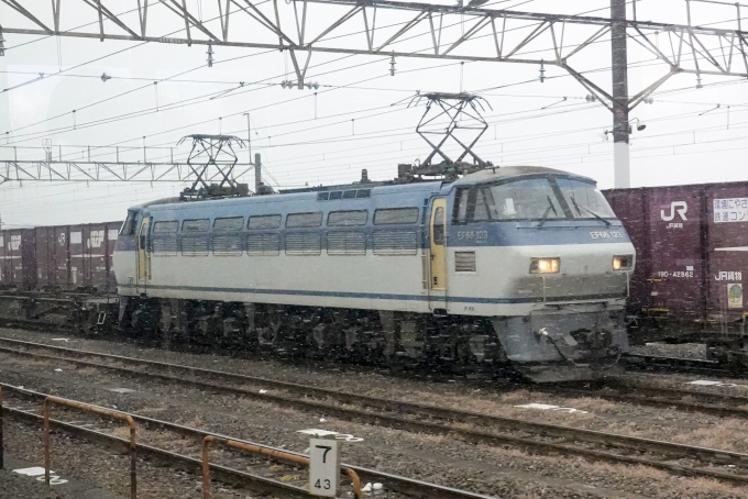 JR貨物 国鉄EF66形電気機関車 EF66-123 鉄道フォト・写真 by BBsanさん 新座駅：2022年01月06日13時ごろ