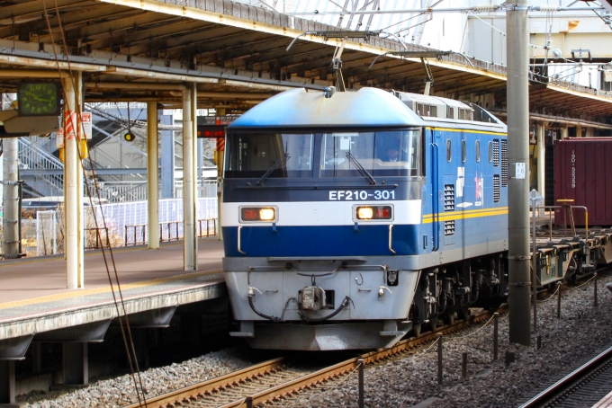 JR貨物 EF210形 EF210-301 鉄道フォト・写真 by BBsanさん 藤沢駅 (JR)：2022年03月04日10時ごろ