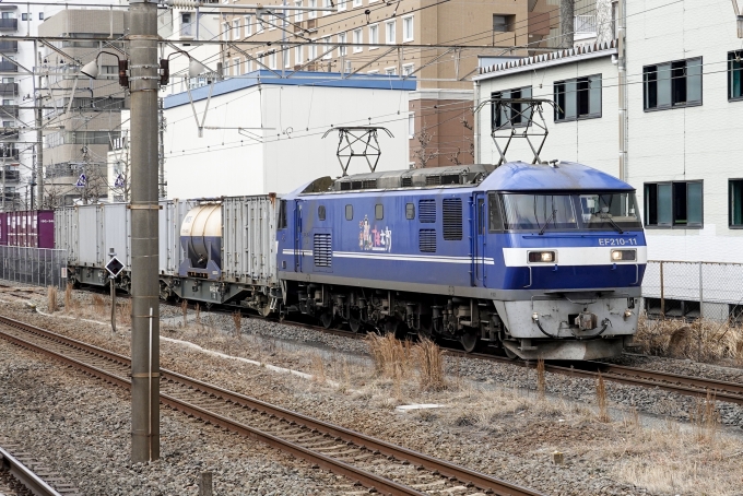 JR貨物 EF210形 EF210-11 鉄道フォト・写真 by BBsanさん 藤沢駅 (JR)：2022年03月04日10時ごろ