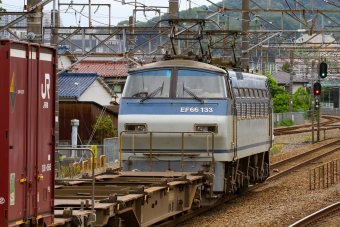 JR貨物 国鉄EF66形電気機関車 EF66-133 鉄道フォト・写真 by BBsanさん 府中本町駅：2022年05月12日12時ごろ