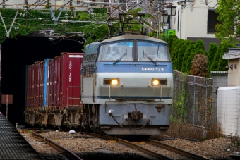 JR貨物 国鉄EF66形電気機関車 EF66 133 鉄道フォト・写真 by BBsanさん 府中本町駅：2022年05月12日11時ごろ