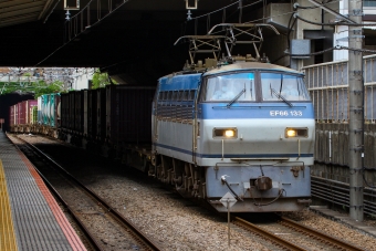 JR貨物 国鉄EF66形電気機関車 EF66-133 鉄道フォト・写真 by BBsanさん 府中本町駅：2022年05月12日11時ごろ