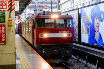 JR貨物 EH500形 EH500-81 鉄道フォト・写真 by BBsanさん 新宿駅 (JR)：2022年08月20日06時ごろ