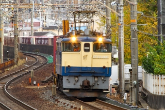 JR貨物 国鉄EF65形電気機関車 EF65-2101 鉄道フォト・写真 by BBsanさん 山科駅 (JR)：2022年12月01日13時ごろ