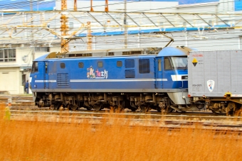JR貨物 EF210形 EF210-115 鉄道フォト・写真 by BBsanさん 大垣駅 (JR)：2022年12月01日08時ごろ