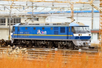 JR貨物 EF210形 EF210-345 鉄道フォト・写真 by BBsanさん 大垣駅 (JR)：2022年12月01日08時ごろ