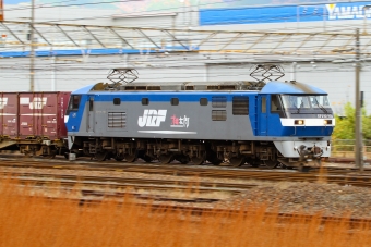 JR貨物 EF210形 EF210-104 鉄道フォト・写真 by BBsanさん 大垣駅 (JR)：2022年12月01日08時ごろ