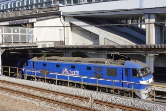 JR貨物 EF210形 EF210-110 鉄道フォト・写真 by BBsanさん 府中本町駅：2022年12月29日12時ごろ