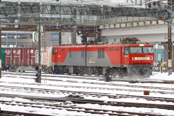 JR貨物 EH500形 EH500-29 鉄道フォト・写真 by BBsanさん 盛岡駅 (JR)：2022年12月22日11時ごろ