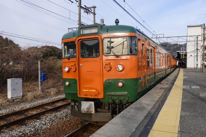 鉄道フォト・写真：JR西日本 国鉄115系電車 クモハ115-321 上郡駅 (JR) 鉄道フォト・写真 by BBsanさん - 撮影日 2023/03/04 07:39