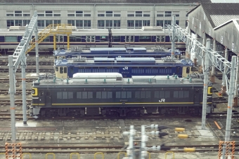 JR西日本 国鉄EF81形電気機関車 EF81-113 鉄道フォト・写真 by BBsanさん 新大阪駅 (JR)：2023年03月02日09時ごろ