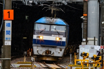 JR貨物 EF210形 EF210-165 鉄道フォト・写真 by BBsanさん 新大阪駅 (JR)：2023年04月15日10時ごろ