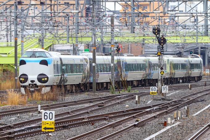 鉄道フォト・写真：JR西日本287系電車 くろしお（南紀地区） クモロハ286-8 新大阪駅 (JR) 鉄道フォト・写真 by BBsanさん - 撮影日 2023/04/12 11:11