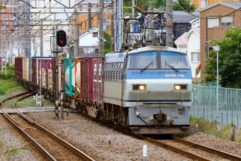 JR貨物 EF66-116 鉄道フォト・写真 by BBsanさん 川崎新町駅：2023年06月30日13時ごろ