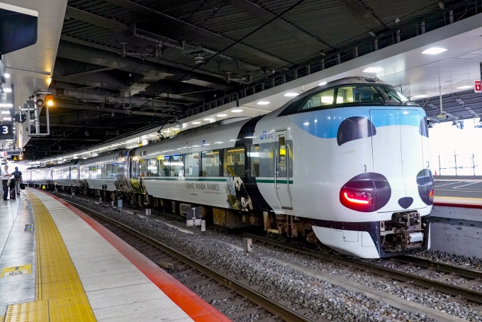 鉄道フォト・写真：JR西日本287系電車 くろしお（南紀地区） クモハ287-20 新大阪駅 (JR) 鉄道フォト・写真 by BBsanさん - 撮影日 2023/10/01 15:59