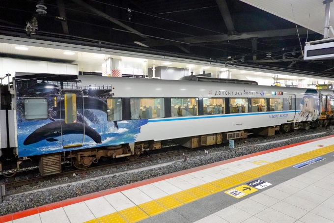 鉄道フォト・写真：JR西日本287系電車 くろしお（南紀地区） モハ286-205 新大阪駅 (JR) 鉄道フォト・写真 by BBsanさん - 撮影日 2023/10/01 15:57