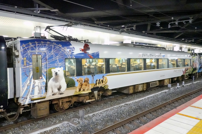 鉄道フォト・写真：JR西日本287系電車 くろしお（南紀地区） モハ287-205 新大阪駅 (JR) 鉄道フォト・写真 by BBsanさん - 撮影日 2023/10/01 15:57