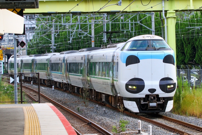 鉄道フォト・写真：JR西日本287系電車 くろしお（南紀地区） クモハ287-20 新大阪駅 (JR) 鉄道フォト・写真 by BBsanさん - 撮影日 2023/10/01 15:54