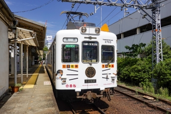 和歌山電鐵2270形電車 たま電車 2705 鉄道フォト・写真 by BBsanさん 和歌山駅 (和歌山電鐵)：2023年10月02日11時ごろ