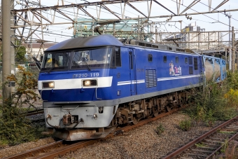 JR貨物 EF210形 EF210-119 鉄道フォト・写真 by BBsanさん 浜川崎駅：2023年11月04日14時ごろ