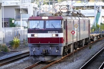JR貨物 EH500形 EH500-9 鉄道フォト・写真 by BBsanさん 戸塚駅 (JR)：2023年10月29日15時ごろ
