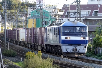 JR貨物 EF210形 EF210-8 鉄道フォト・写真 by BBsanさん 戸塚駅 (JR)：2023年10月29日15時ごろ