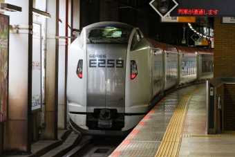 JR東日本E259系 クハE258形(Tc') 鉄道フォト・写真 by BBsanさん 恵比寿駅 (JR)：2023年11月25日08時ごろ