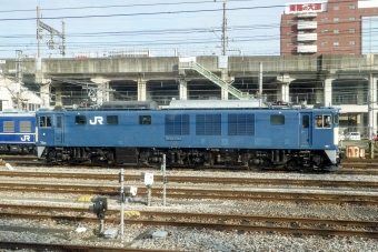 JR東日本 国鉄EF64形電気機関車 EF64-1053 鉄道フォト・写真 by BBsanさん 高崎駅 (JR)：2023年12月11日14時ごろ