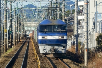 JR貨物 EF210形 EF210-14 鉄道フォト・写真 by BBsanさん 清水駅 (静岡県)：2023年12月26日09時ごろ