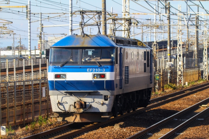 JR貨物 EF210形 EF210-3 鉄道フォト・写真 by BBsanさん 枇杷島駅 (JR)：2023年12月26日13時ごろ