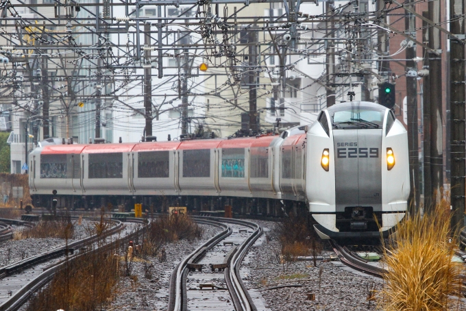 JR東日本 クロE259形 クロE259-12 鉄道フォト・写真 by BBsanさん 恵比寿駅 (JR)：2024年02月23日11時ごろ