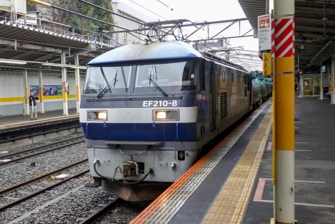 JR貨物 EF210形 EF210-8 鉄道フォト・写真 by BBsanさん 新秋津駅：2024年02月23日13時ごろ
