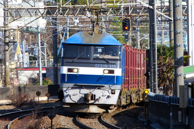JR貨物 EF210形 EF210-310 鉄道フォト・写真 by BBsanさん 西国分寺駅：2024年02月26日09時ごろ